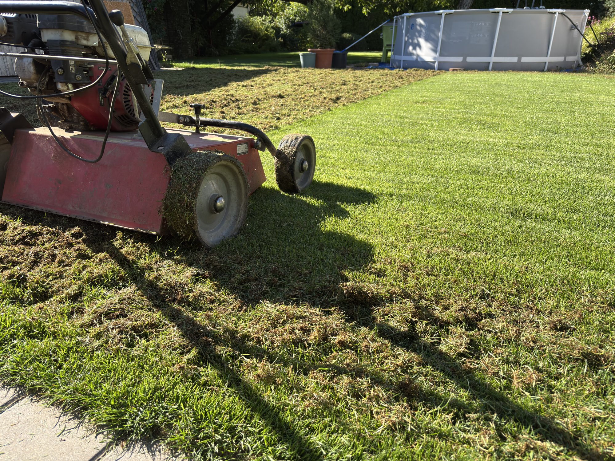 Gyepszellőztetés előtt