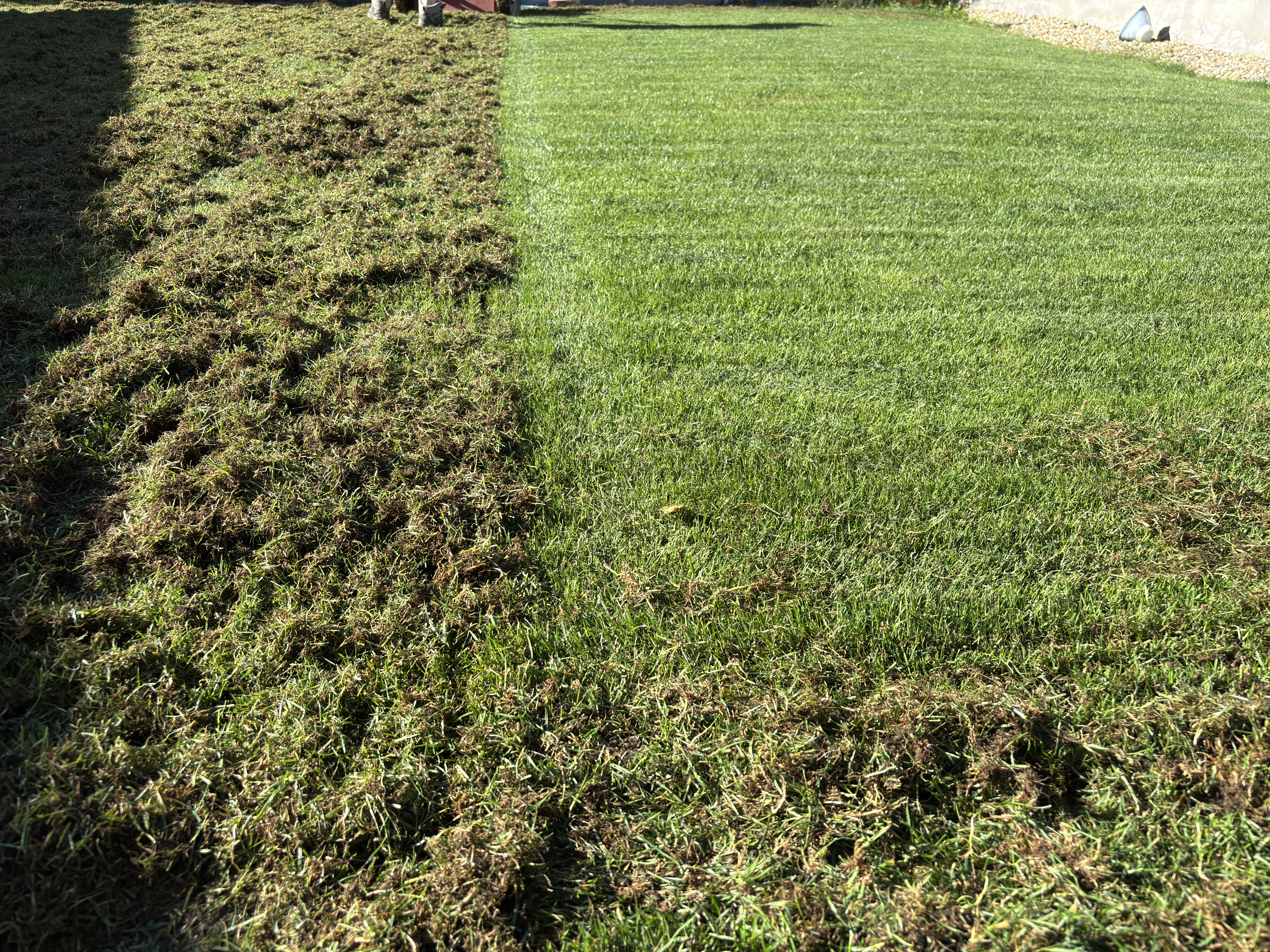 Gyepszellőztetés közben